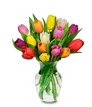 Vase of Lovely Tulips