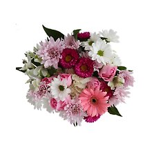 Wrapped Berry Delight Bunch For Your Vase