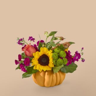 22-A1 Pumpkin