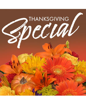 Thanksgiving Centerpiece Deal