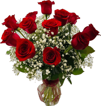 Rose: Dozen Red Roses in vase with Babies Breath