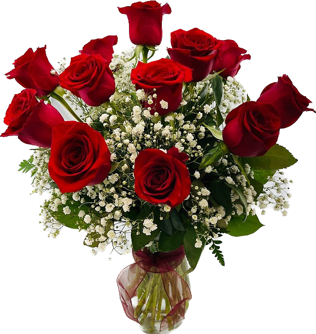 Rose: Dozen Red Roses in vase with Babies Breath