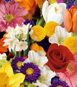 DEAL BRIGHT CENTERPIECE