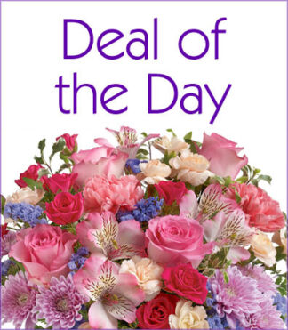 Deal Designer's Delight