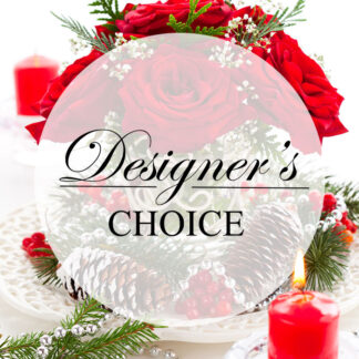 WINTER DESIGNER'S CHOICE FAVORITE