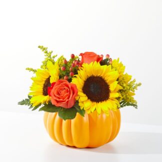 25-F2: Pick of the Patch Pumpkin bouquet
