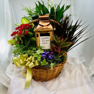 French Garden: Lantern with plants