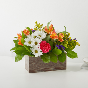 CJA: Oopsie Daisy Box Bouquet