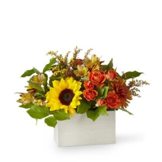 21-F3: The Golden Hour Box Bouquet