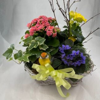 French Garden: Bloomers & Green Plant with Bird