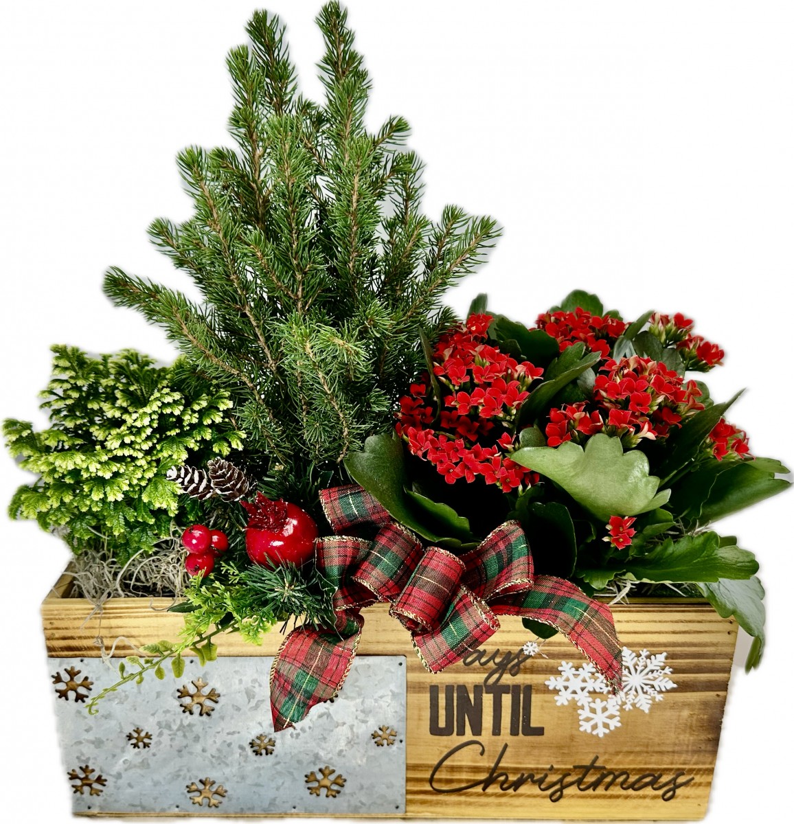 Christmas Days 20" Planter Garden
