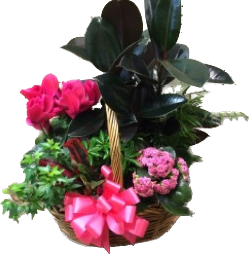 French Garden- Blooming & Green Plants-pink accents