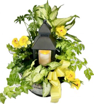 Lantern Planter Garden