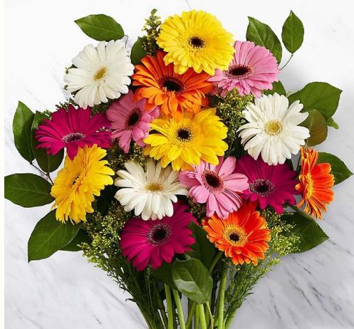 Wrap: GERBERA DAISY BUNCH for your vase