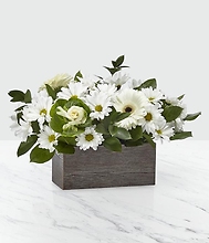 D02: Home Sweet Home Box Bouquet