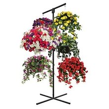 11\" Hanging Blooming Mixed Plants Basket- Sunny Area