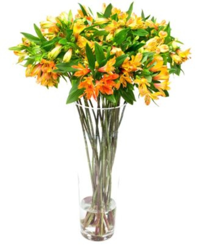 Alstroemeria In Vase: Assorted Colors