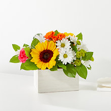 24-M3: Sun-Drenched Blooms Box Bouquet