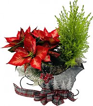 Holiday Sleigh French Garden