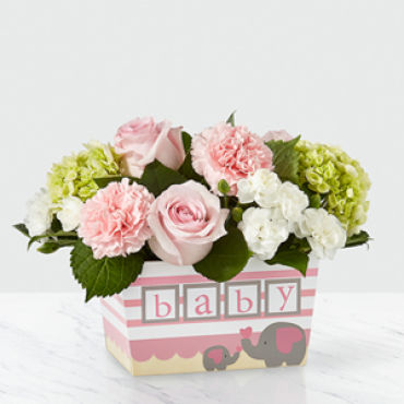 Baby: Darling Baby Girl Bouquet