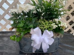 Winter Garden Plant Basket