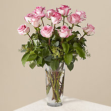 Rose: Pink Roses in vase