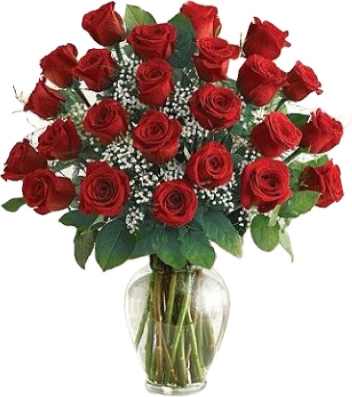 25 RED ROSES IN VASE WITH BABIES BREATH