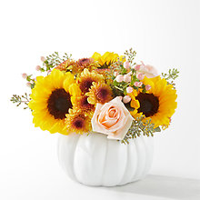 24-F1  AUTUMN WHITE PUMPKIN