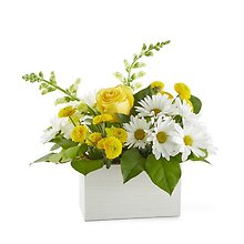 Sun Salutation A Box Bouquet