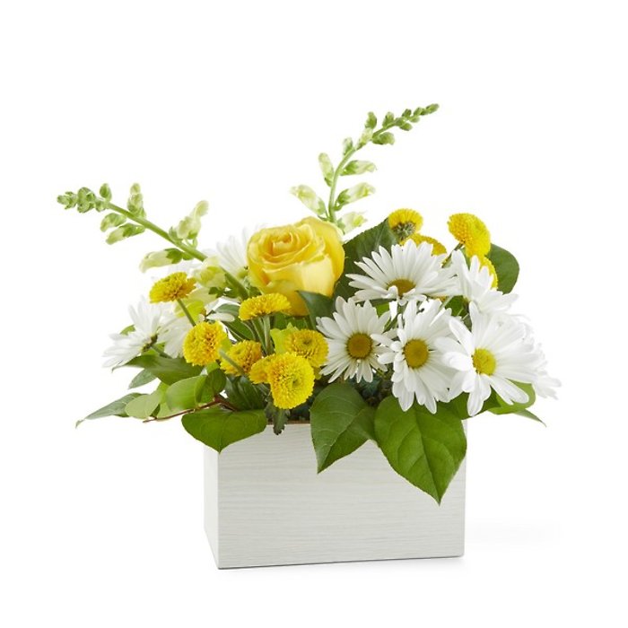 Sun Salutation A Box Bouquet