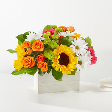24-M3: Sun-Drenched Blooms Box