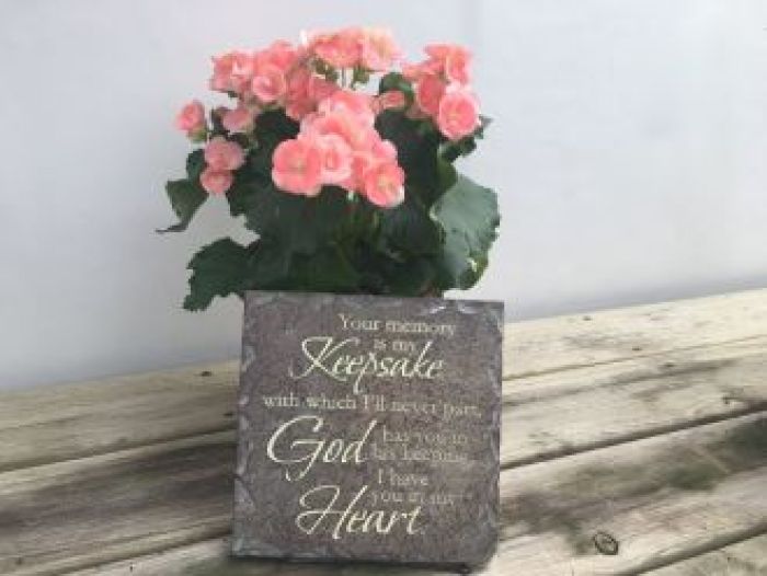 Plant: Blooming Plant & Memories Stone