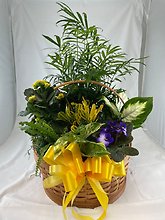 Planters & French Gardens