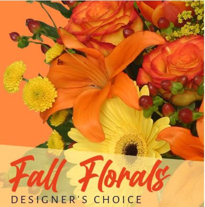 Harvest Designers Deal