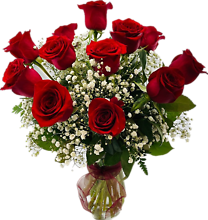 Dozen Red Roses in vase with Babies Breath