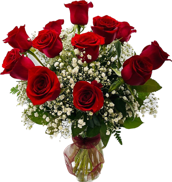 Dozen Red Roses in vase with Babies Breath