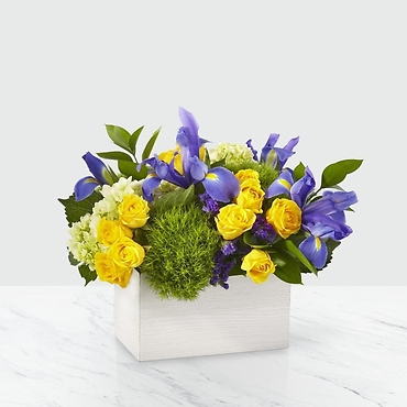 20-J1: Fields of Iris Box Bouquet