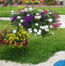 12\" Hanging DELUXE Blooming Basket-SUN