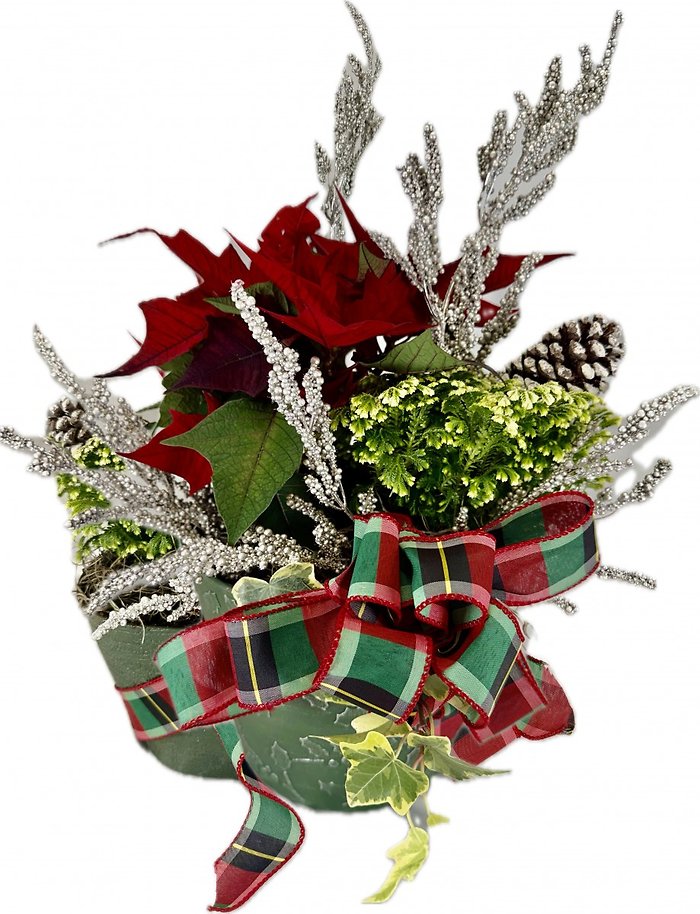 HOLIDAY BLOOMS POT