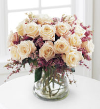 Rose: Monticello Cream Roses