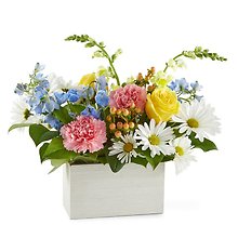 Sun Salutation B Box Bouquet