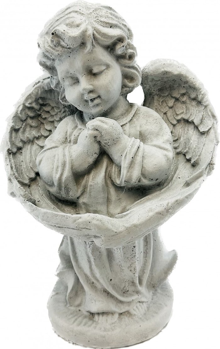 Angel: AN2 15\" Angel Wings