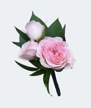 Bout: Pink Spray Rose Boutonniere