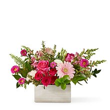 CCJ: Too Cute Box Bouquet