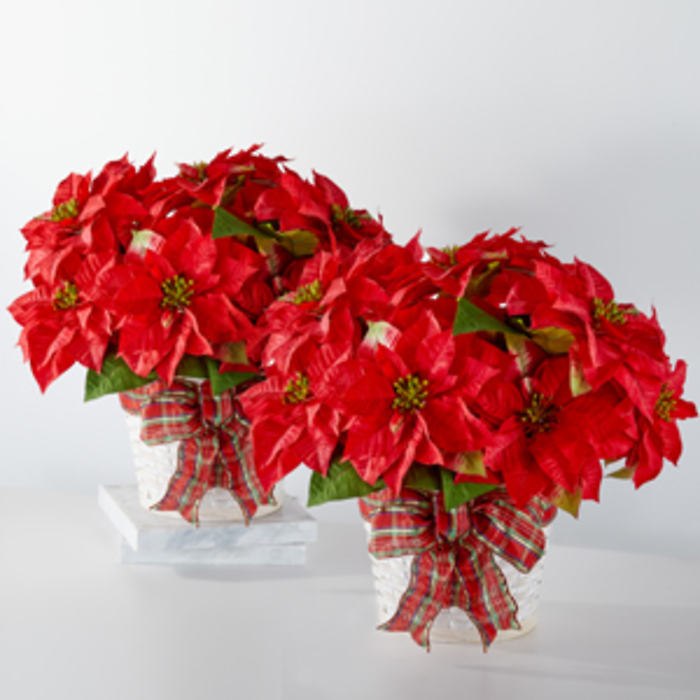 B52X2  2 RED POINSETTIA PLANTS IN BASKET