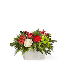 C21: Snow What Fun Box Bouquet