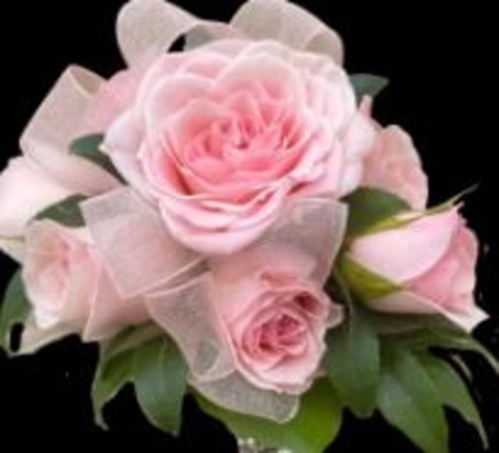 Corsage: Wristlet Pink Roses