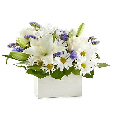 CNB: Beyond Blue Box Bouquet