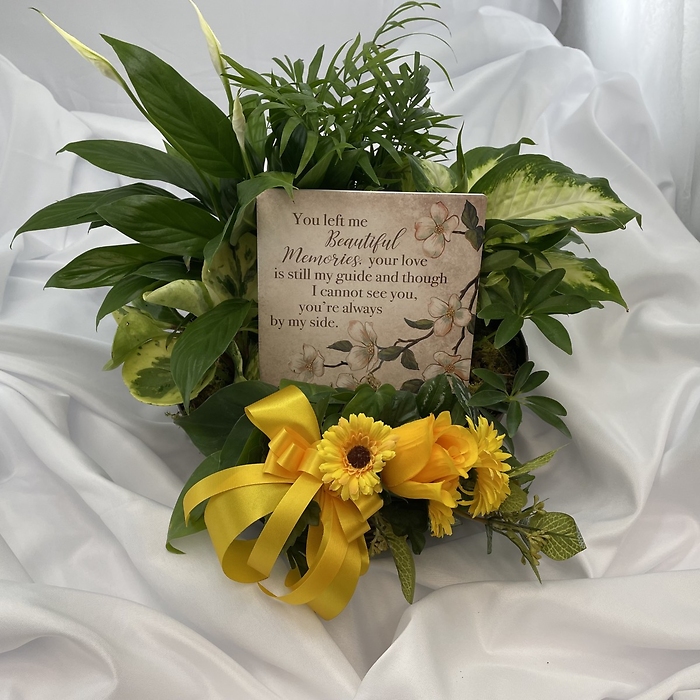 Plant: Green Planter & Keepsake Plaque/Stone