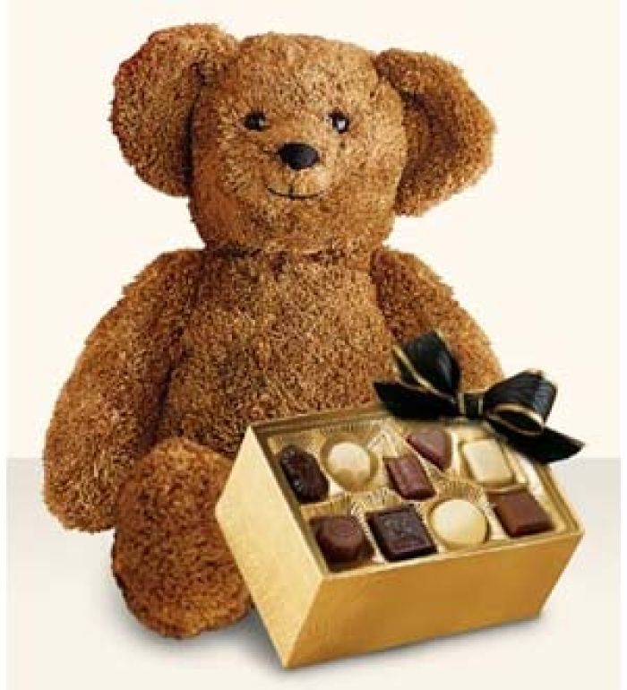 Bear with DeBrand Chocolate box